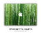 Bamboo Forrest Skin for the 11". 13" or 15" MacBook