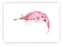WaterColor_DreamFeathers_v2_-_13_MacBook_Pro_-_V7.jpg