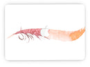 WaterColor_DreamFeathers_v4_-_13_MacBook_Pro_-_V7.jpg