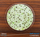 The Vintage Green Tiny Floral Skinned Foam-Backed Coaster Set