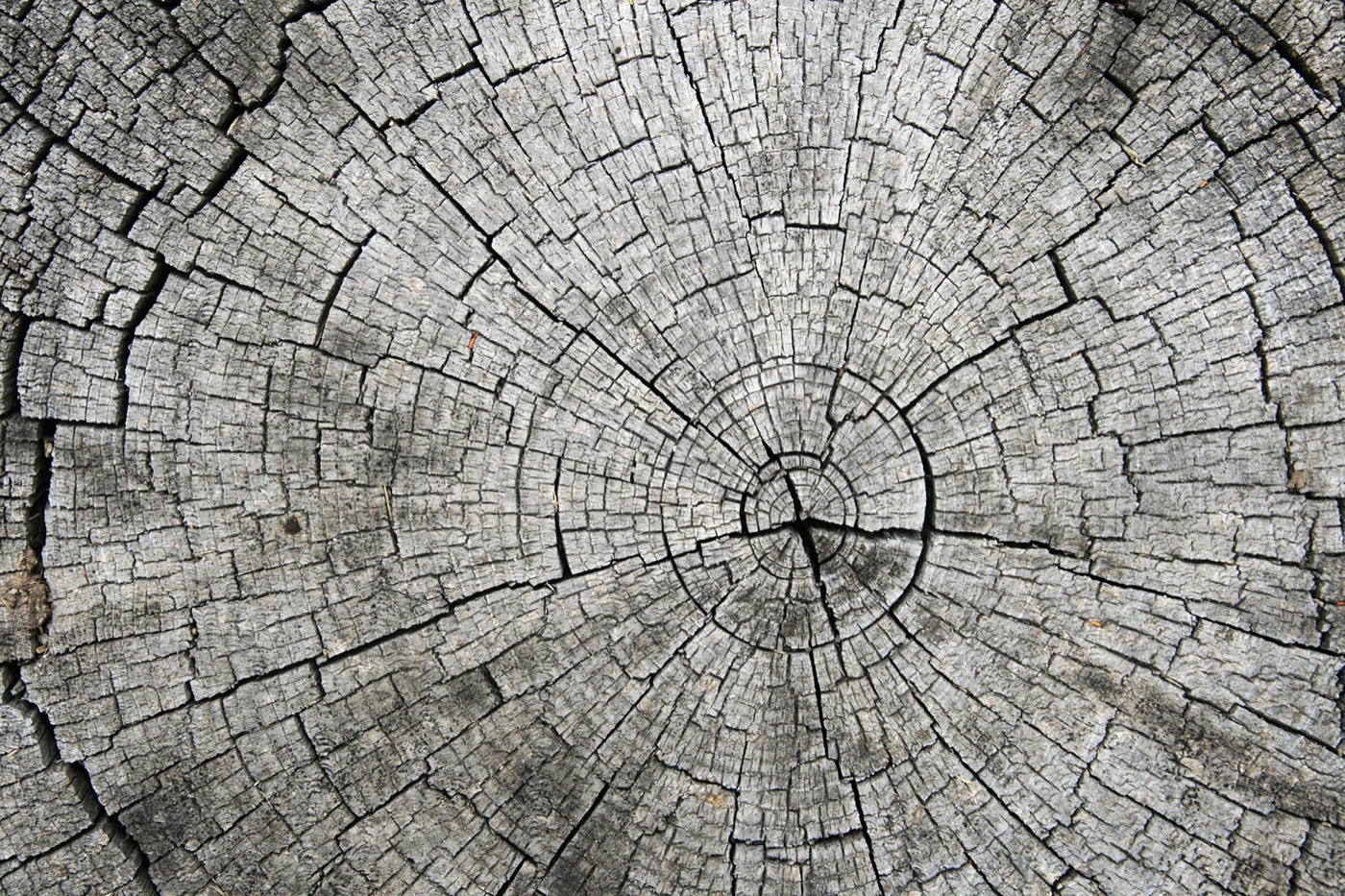 Wood Grain skin preview