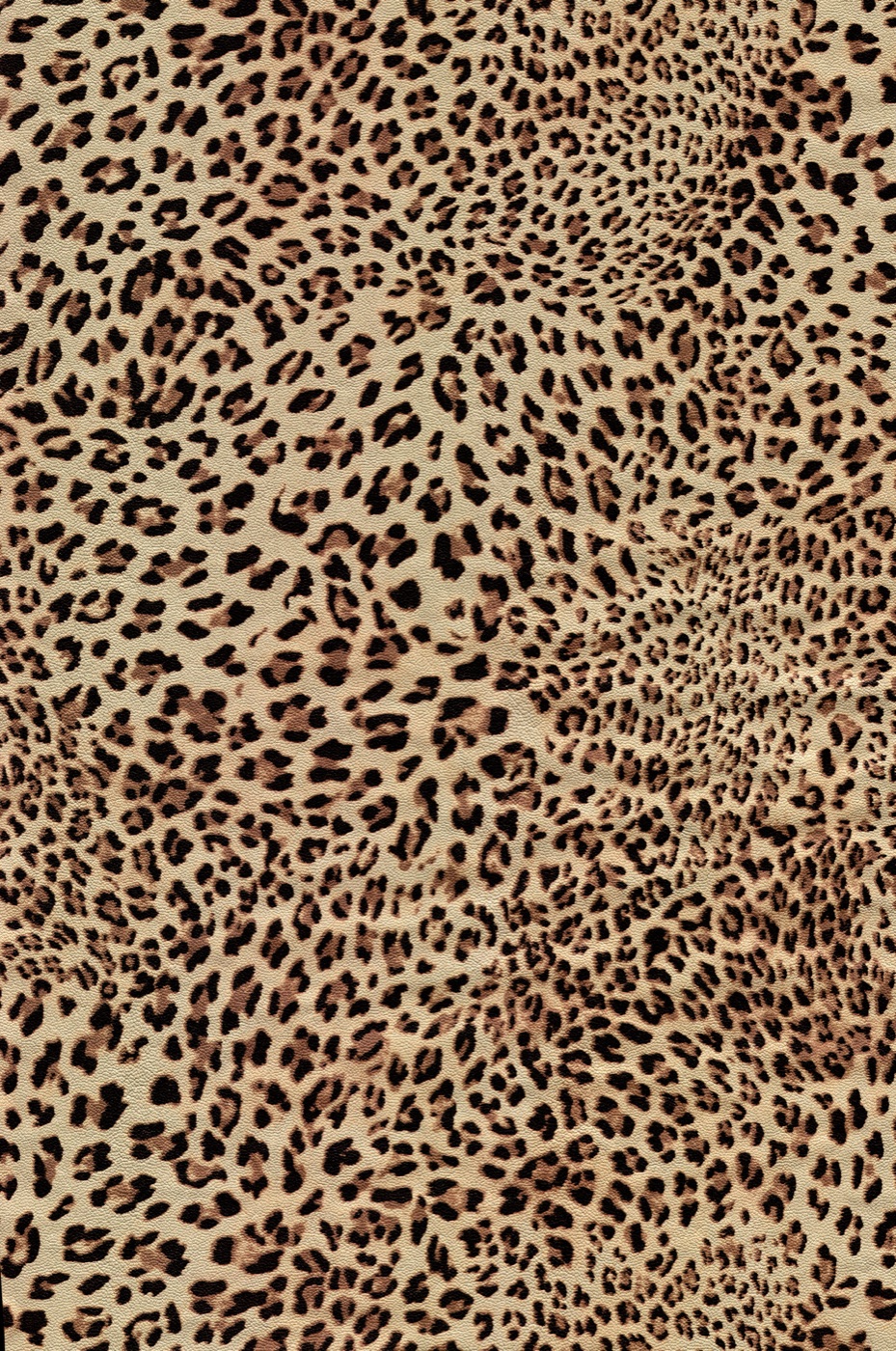 Leopard Print Classic — cream MagicBand skin