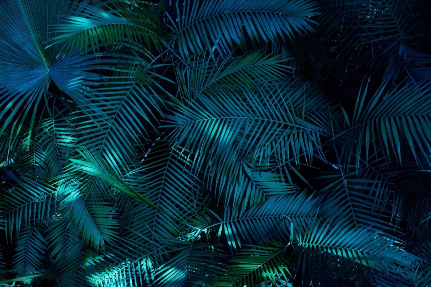 Deep Tropical Leaves — emerald green MacBook skin