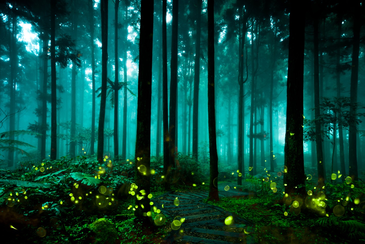 Glowing Fantasy Forest — gothic Kindle skin