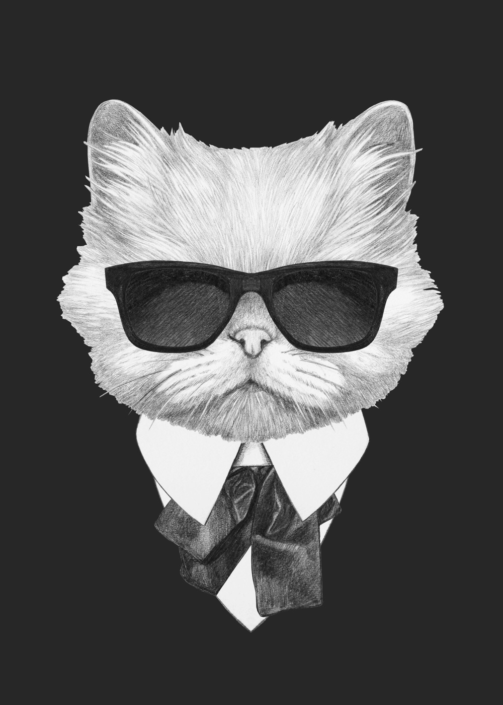 Persian Cat Suit — gothic Kindle skin