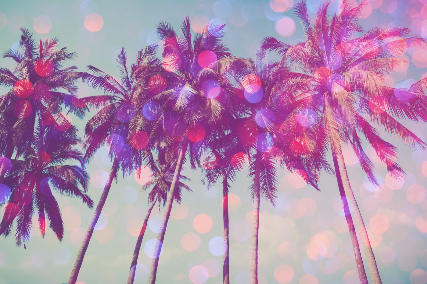 Palm Tree Glamour — glitter Kindle skin
