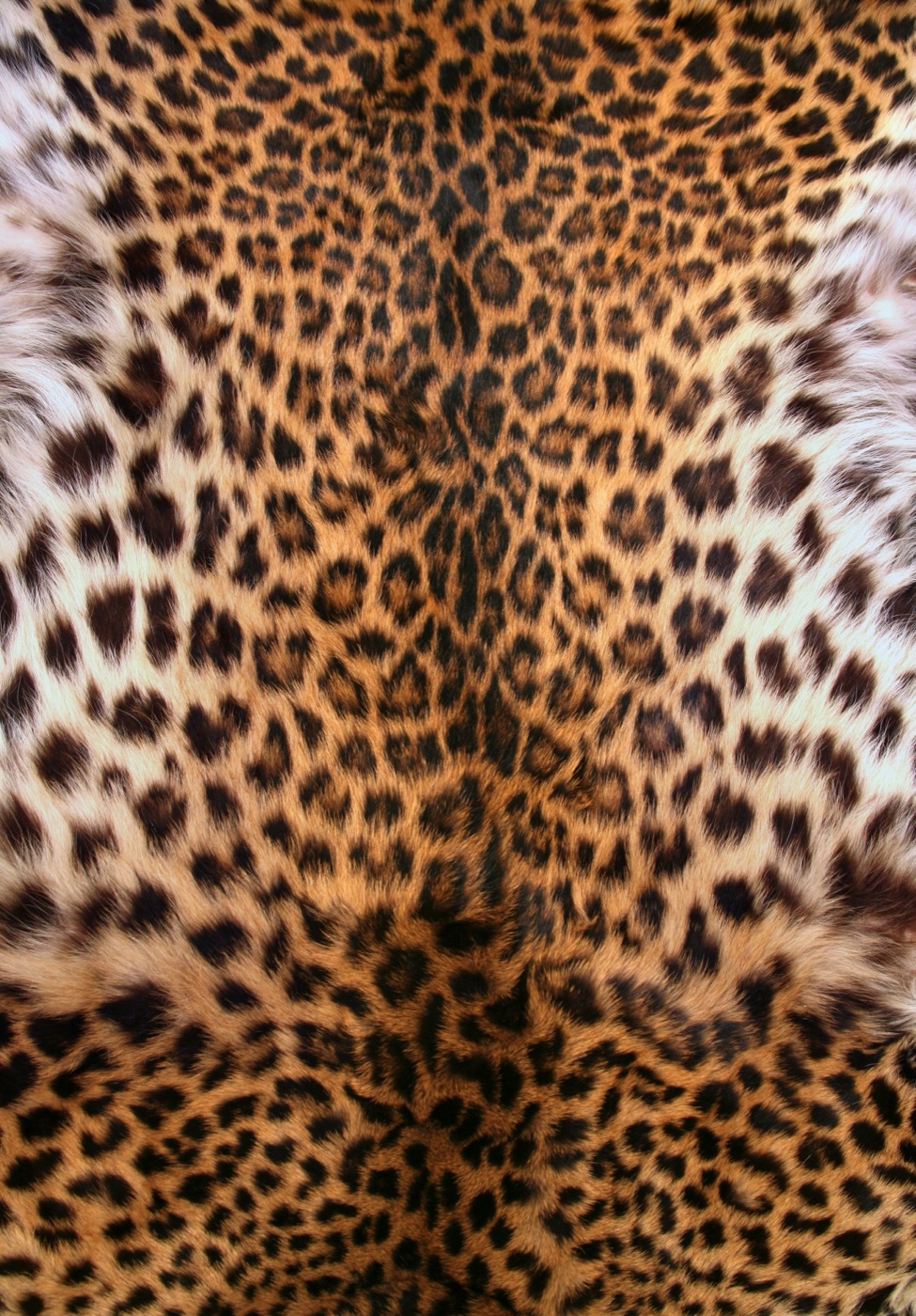 Mirrored Leopard Hide — cream MagicBand skin