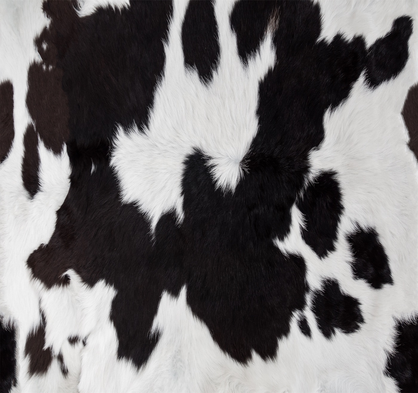 Modern Cowhide Chic — animal print MagicBand skin