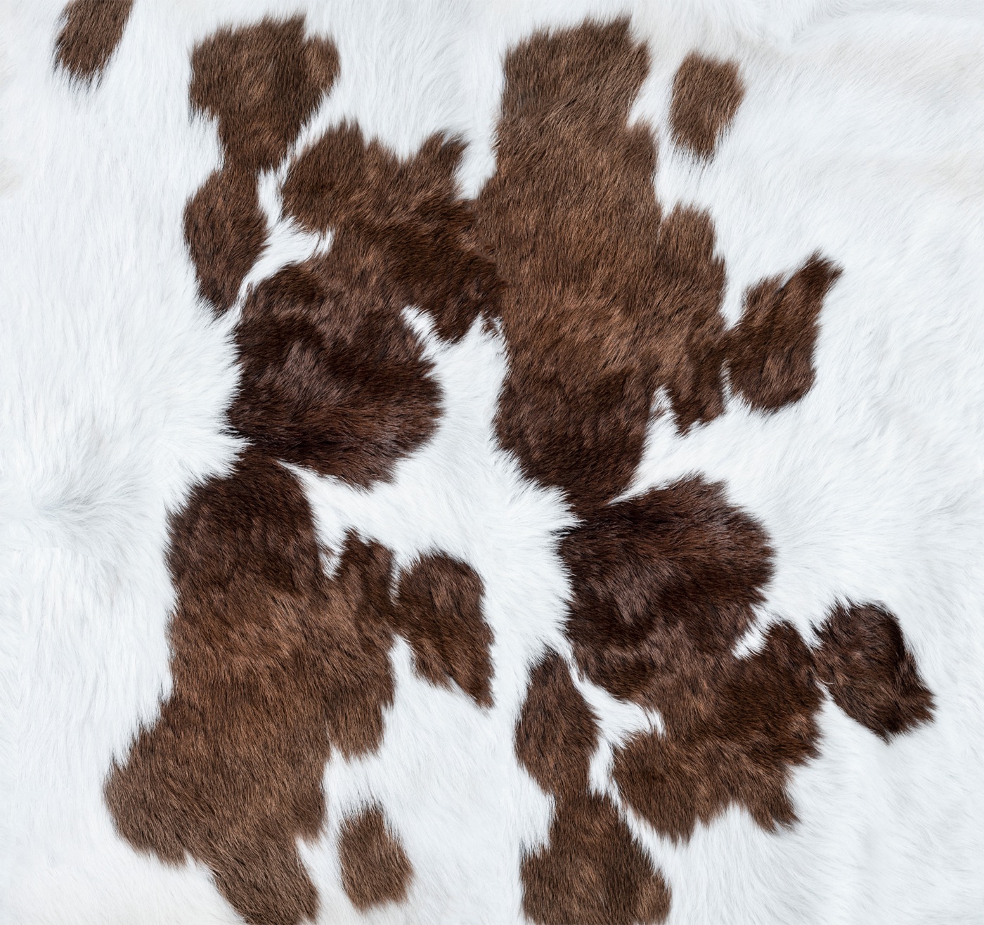 Modern Cowhide Chic — brown MagicBand skin