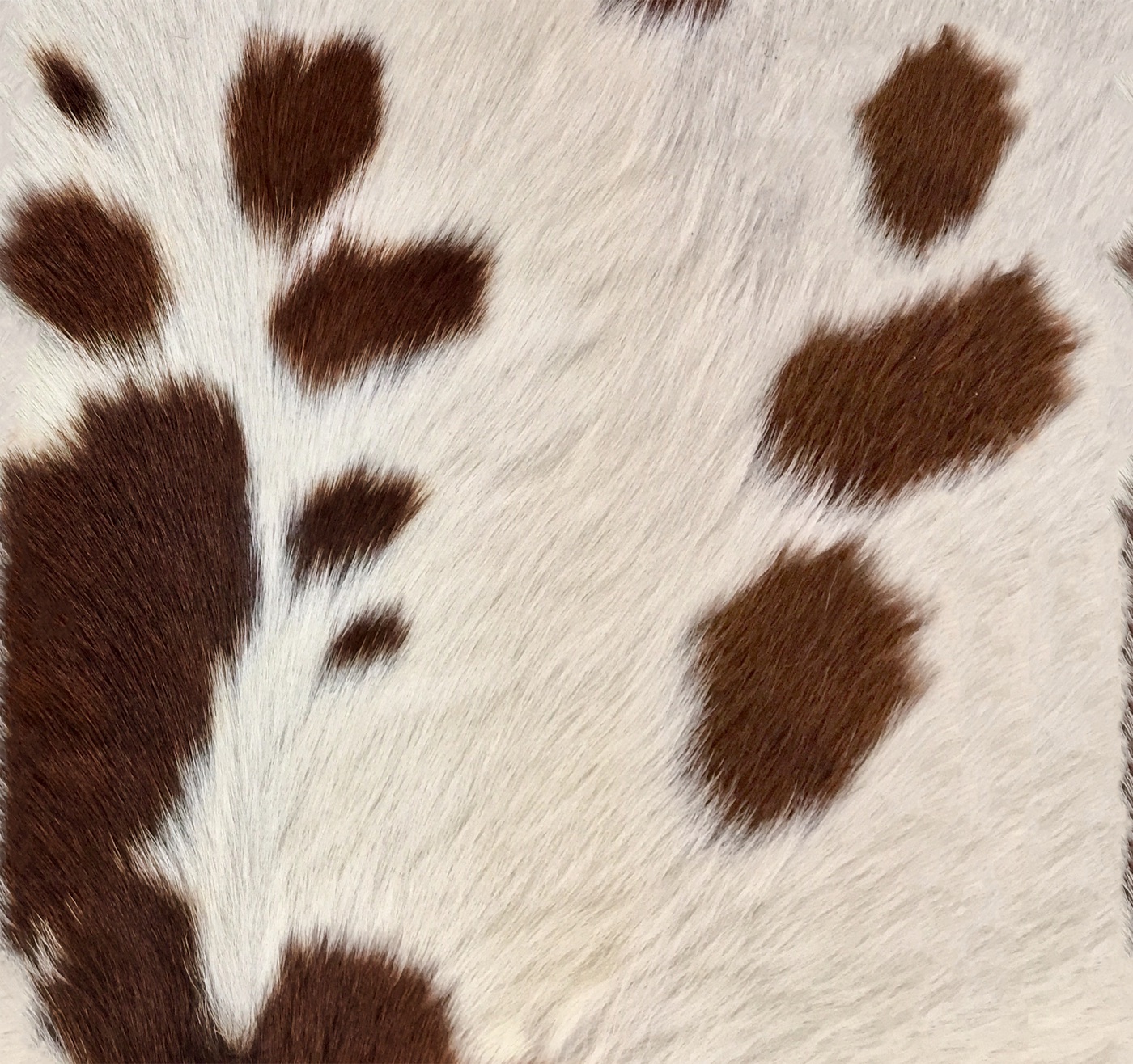 Modern Cowhide Chic — brown MagicBand skin