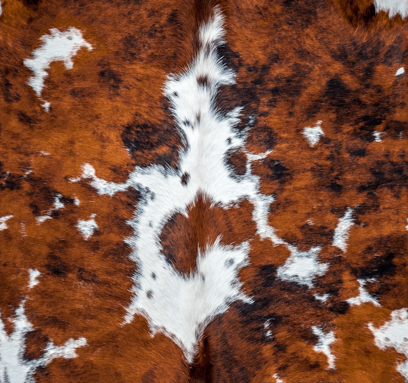 Modern Cowhide Chic — brown MagicBand skin
