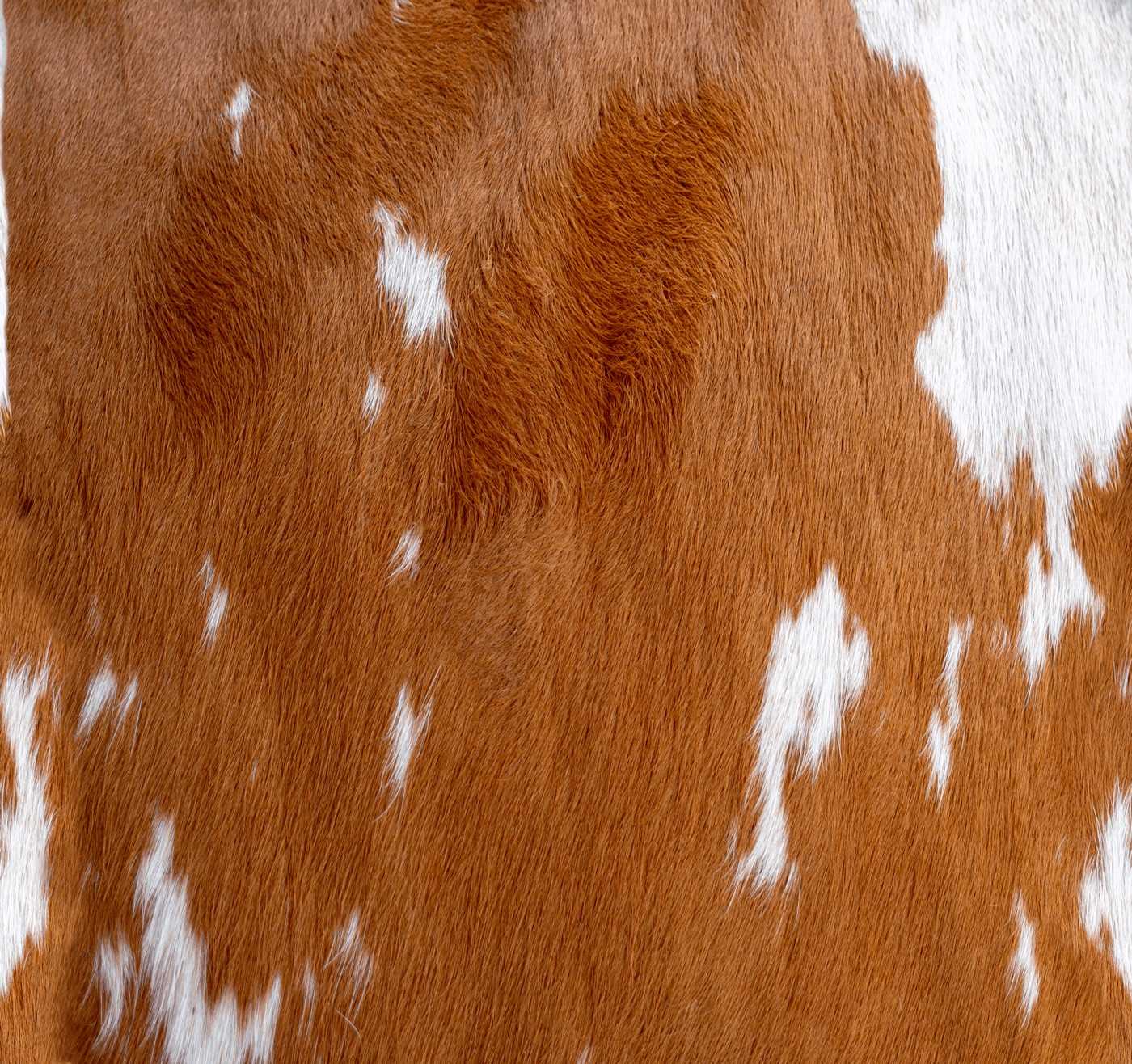 Modern Cowhide Chic — brown MagicBand skin
