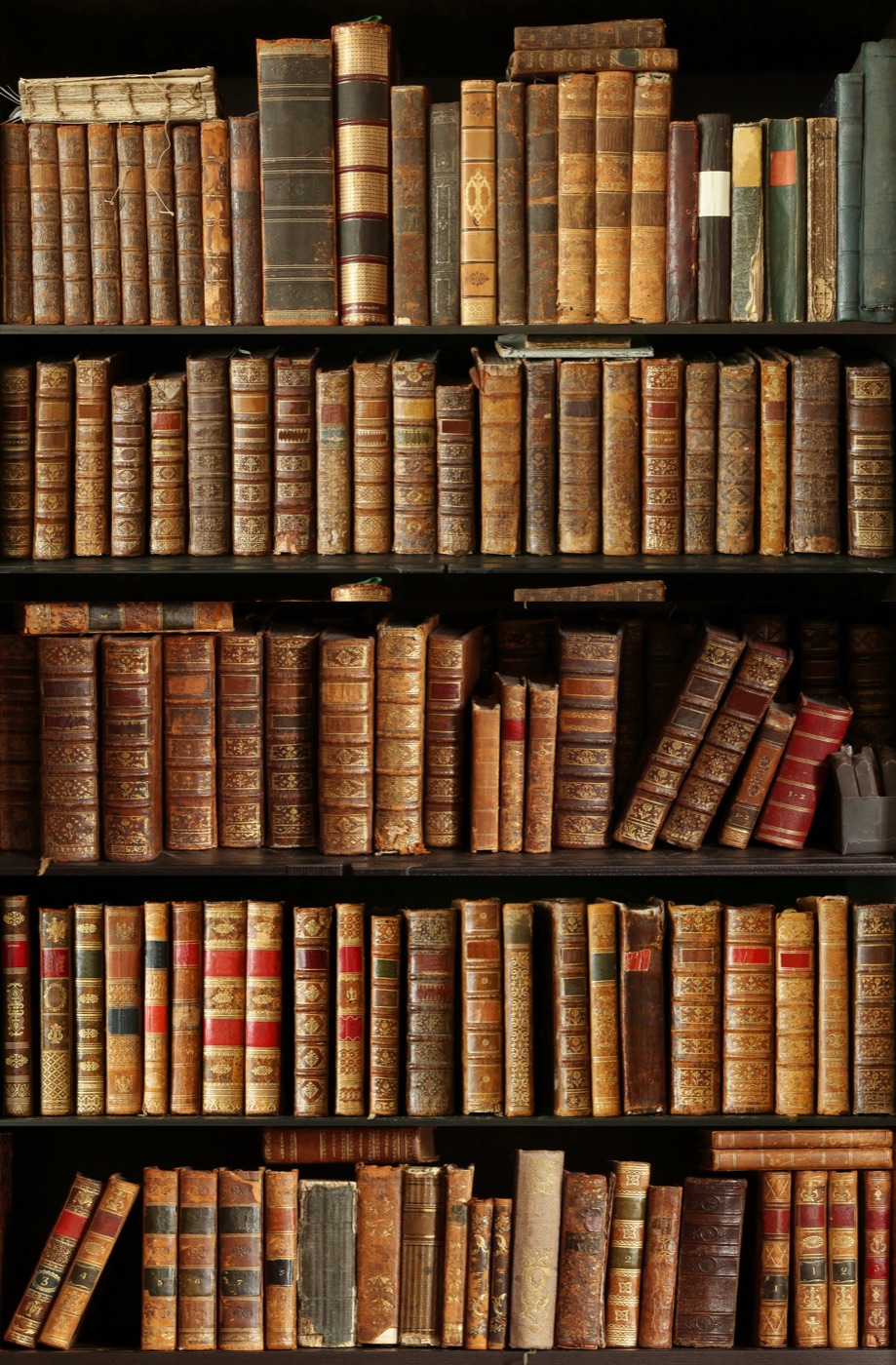Old Library Books — gold Nintendo Switch skin