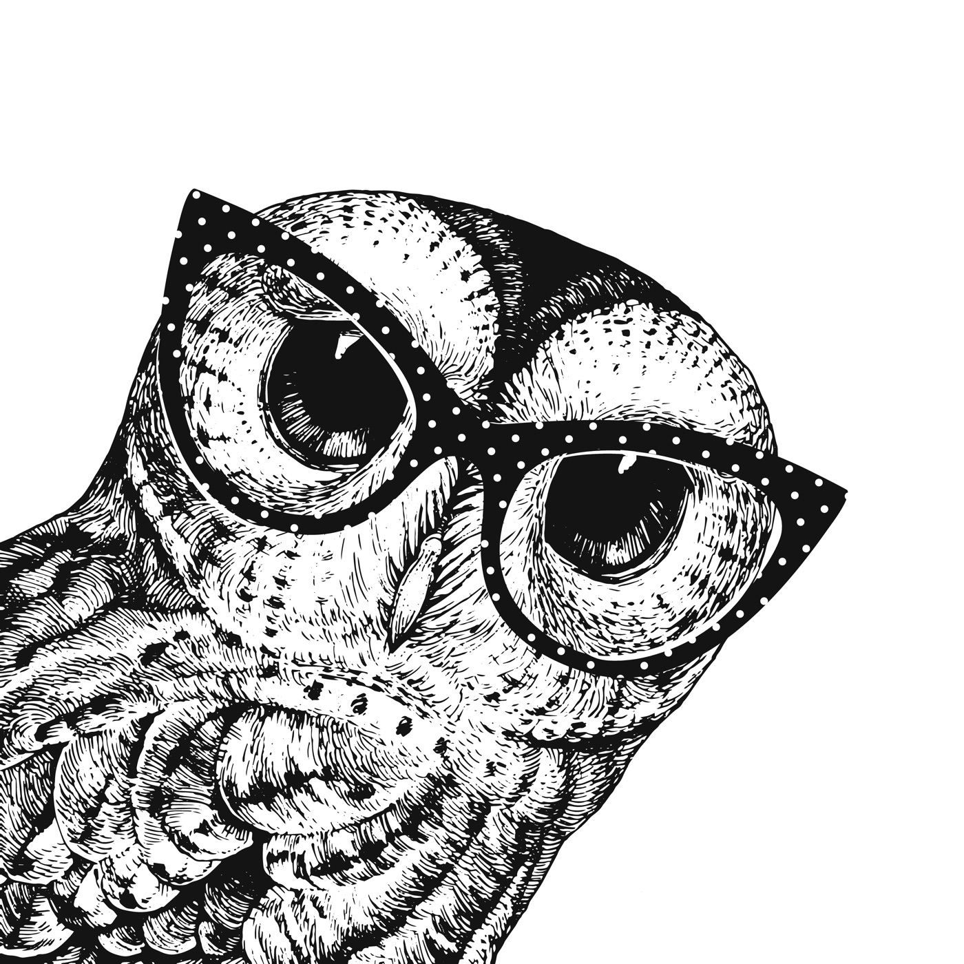 Wise Owl — white Nintendo Switch skin