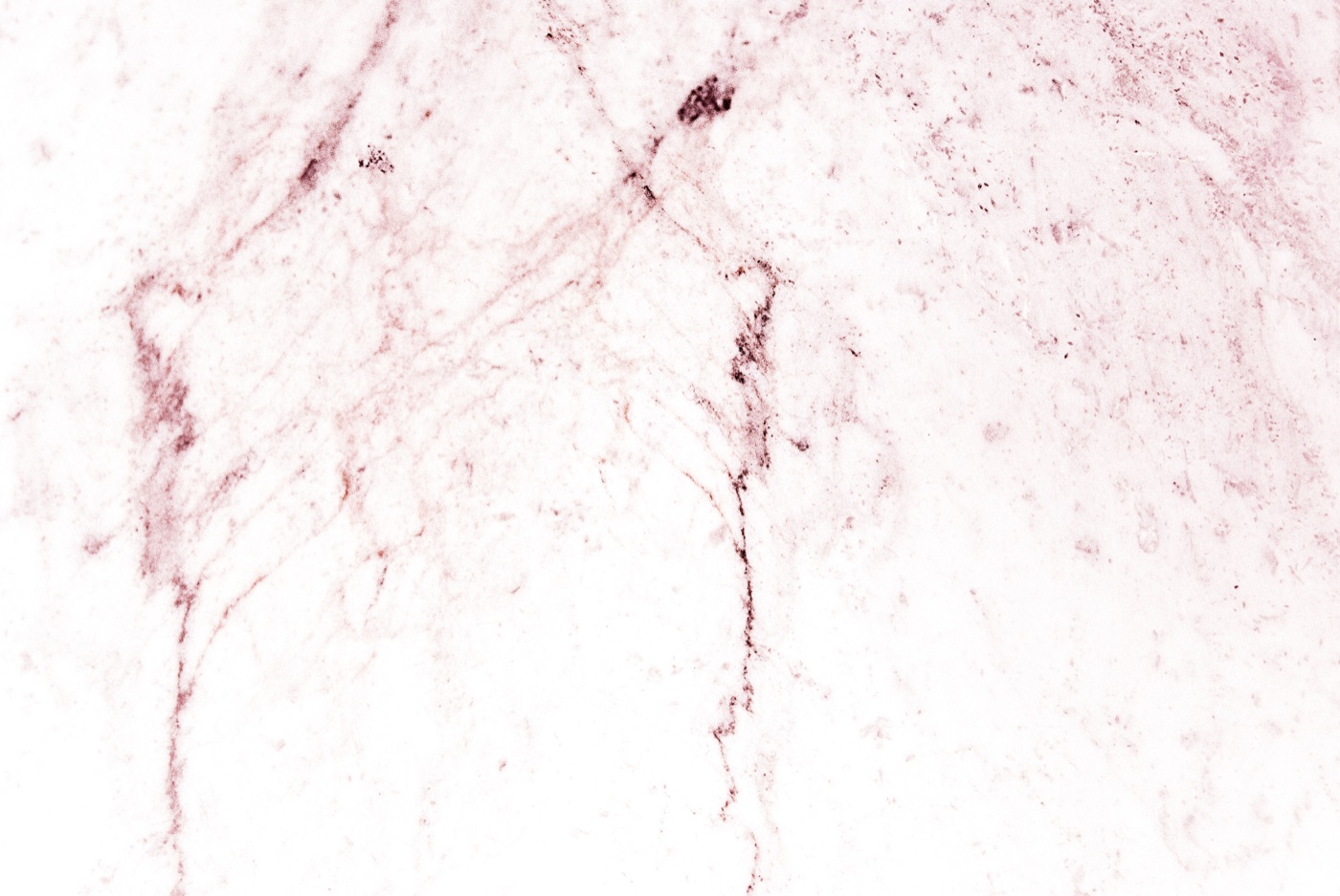 Rose Gold Marble — white Apple Watch skin