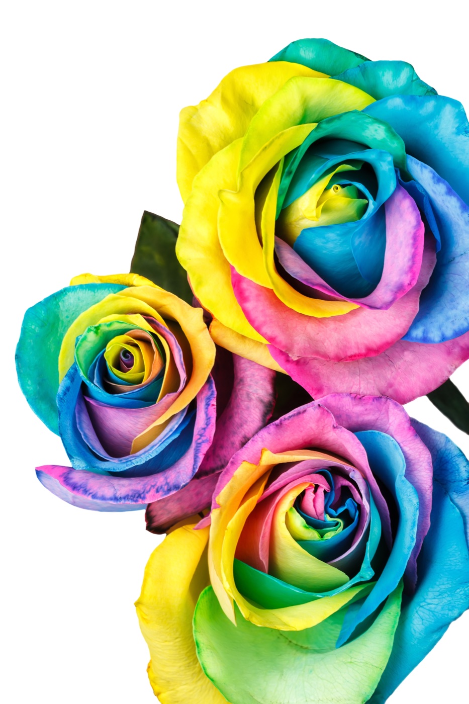 Rainbow Rose Bouquet — floral MacBook skin