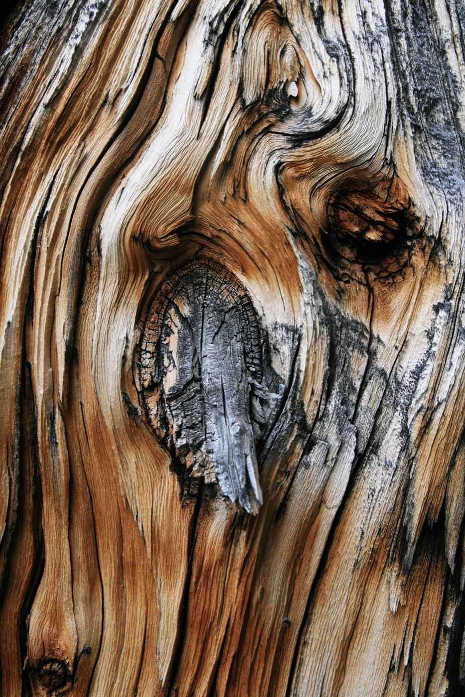 Raw Aged Wood — vintage iPhone skin