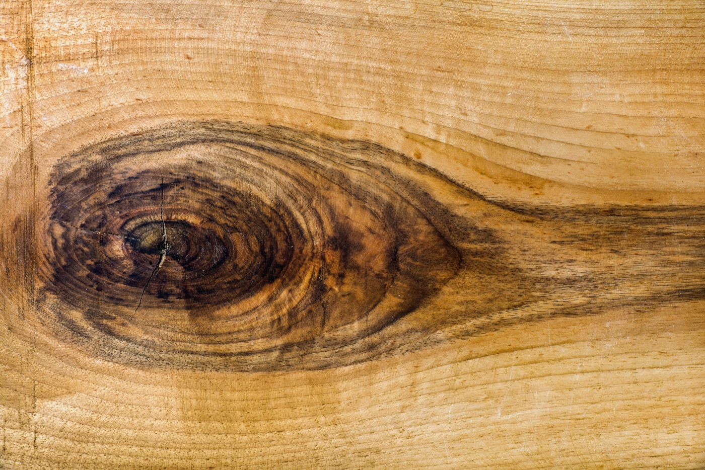 Raw Wood Planks — minimalist Xbox skin