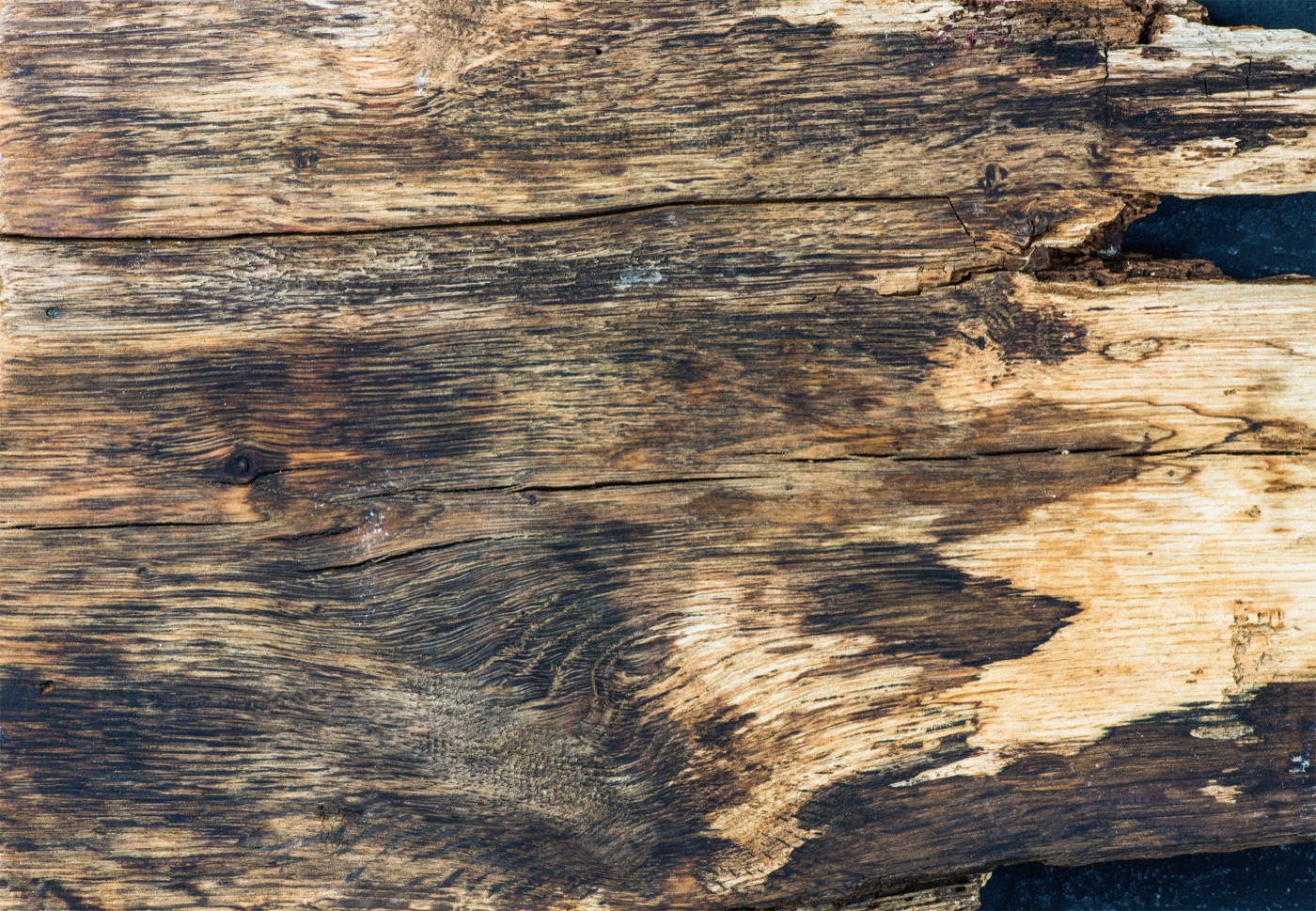 Raw Wood Planks — grunge Steam Deck skin