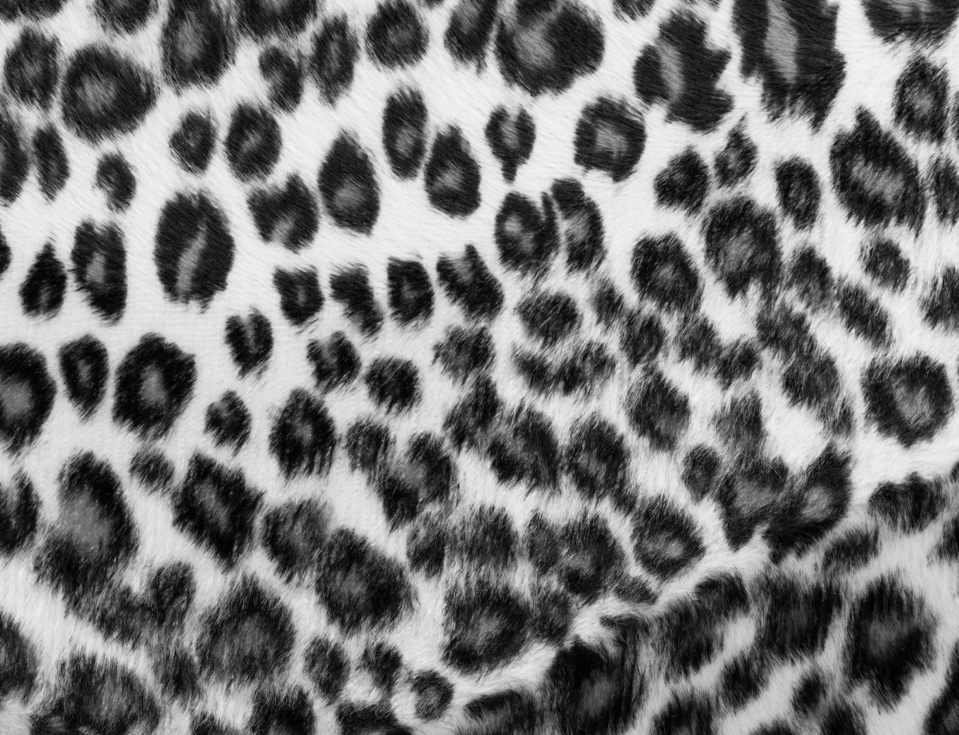 Snow Leopard Hide — white Nintendo Switch skin