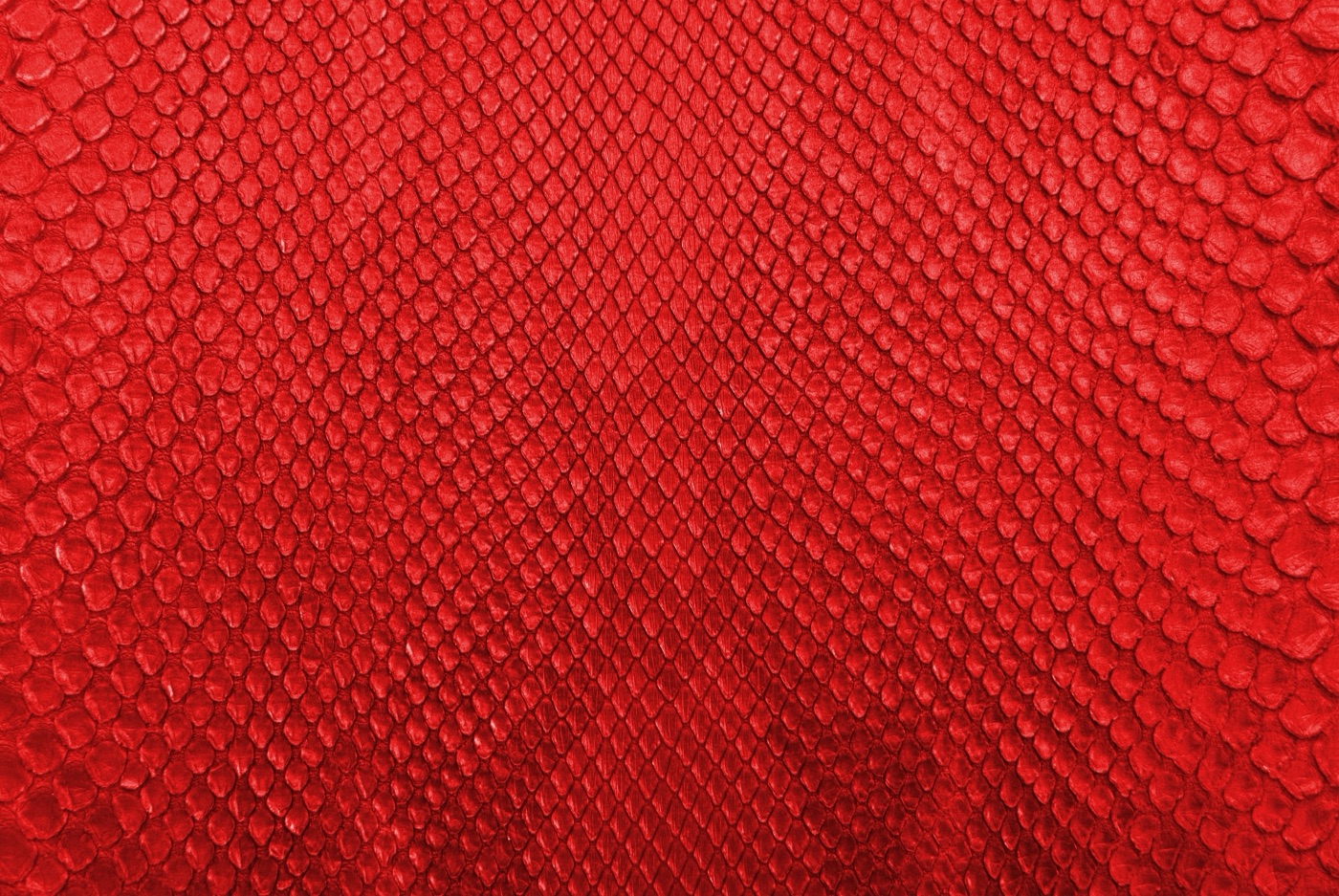 Red Snake Skin — red Nintendo Switch skin