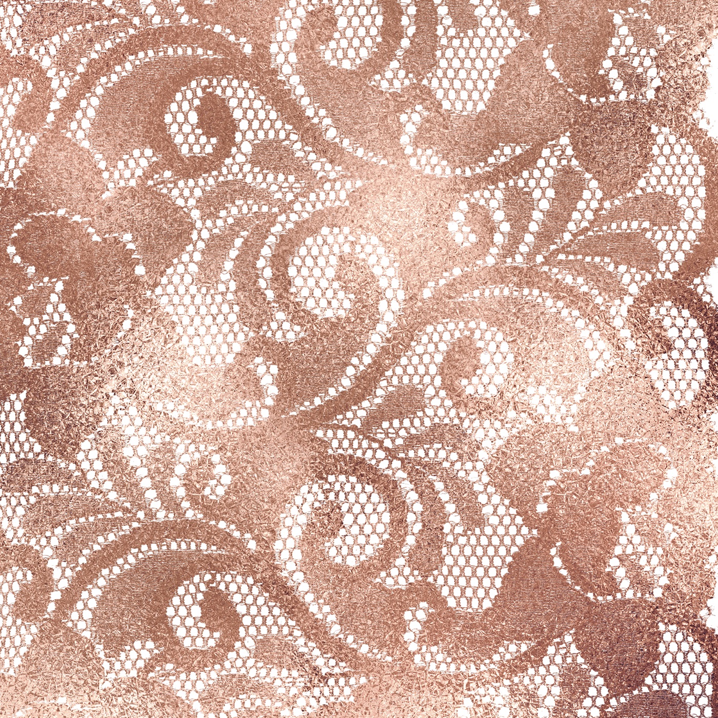 Rose Gold Lace — gothic Kindle skin