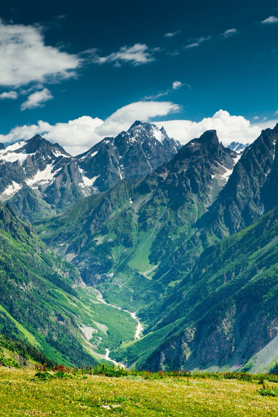 Mountain Valley Vista — emerald green MacBook skin