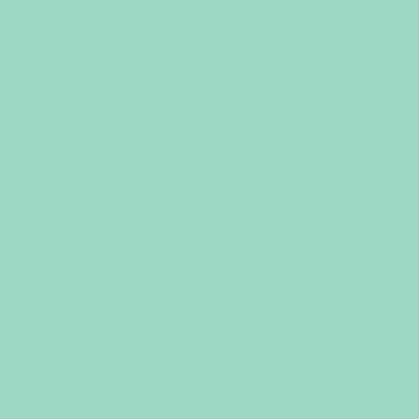 Simple Mint Pastel — pastel Steam Deck skin