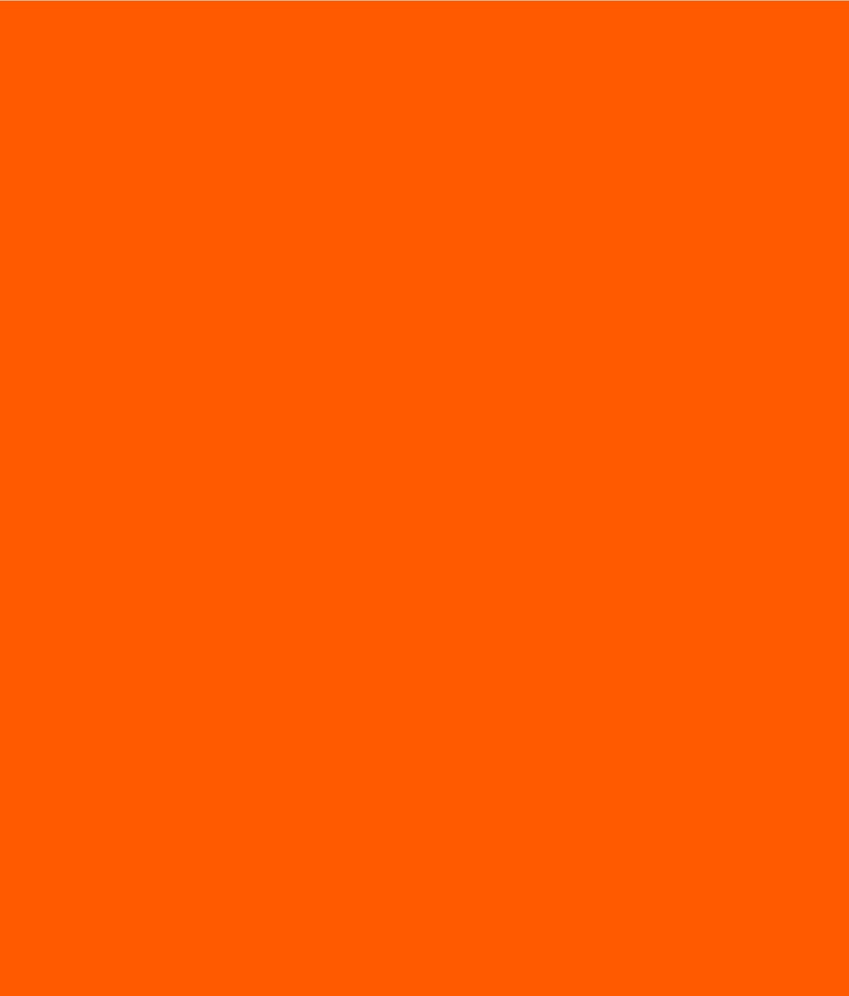 Solid Burnt Orange — monochrome AirPods skin