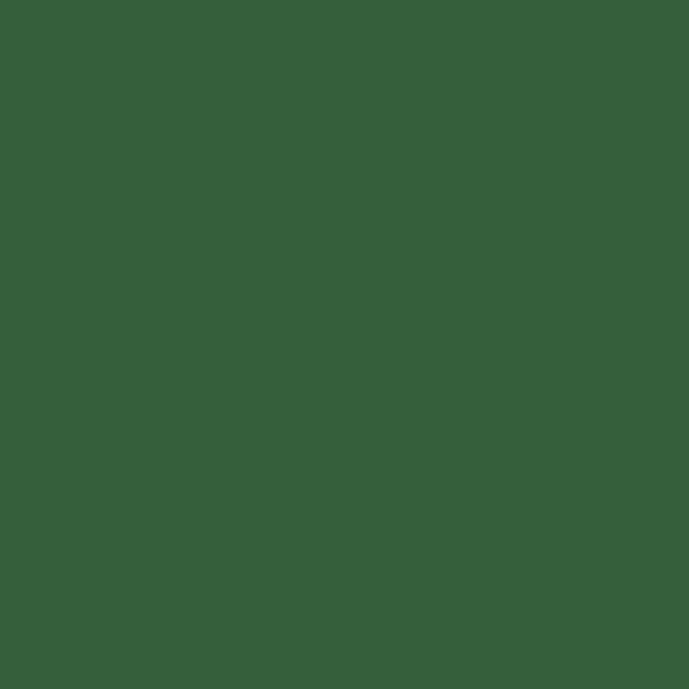 Hunter Green Solid — emerald green MacBook skin