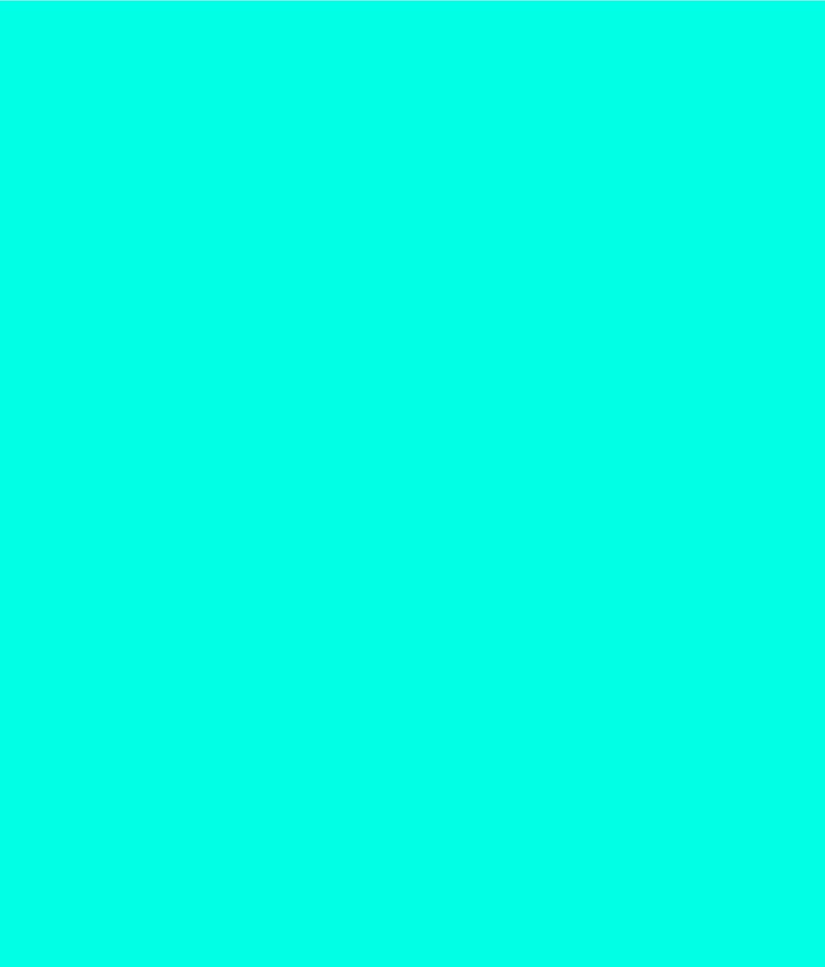 Solid Mint — minimalist MacBook skin