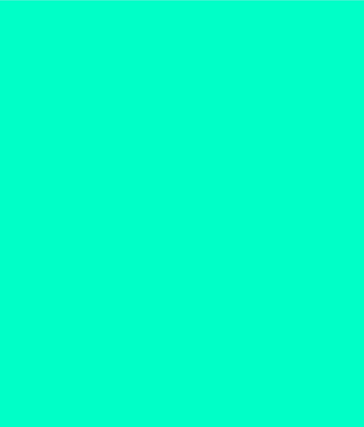 Solid Mint — minimalist MacBook skin