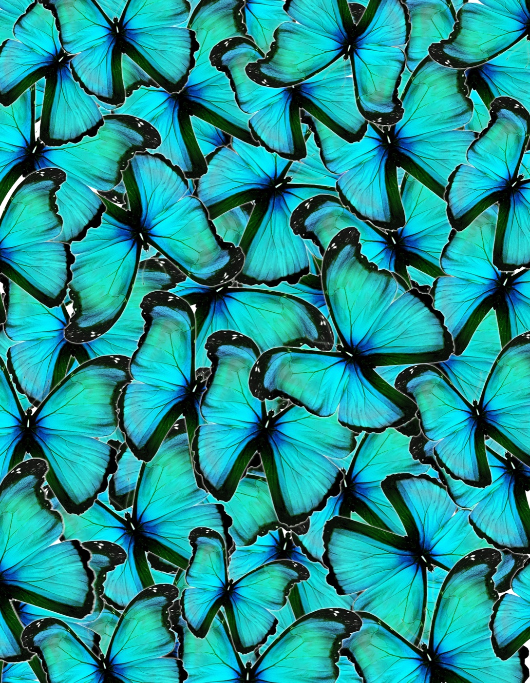Turquoise Butterfly Bundle — turquoise Kindle skin