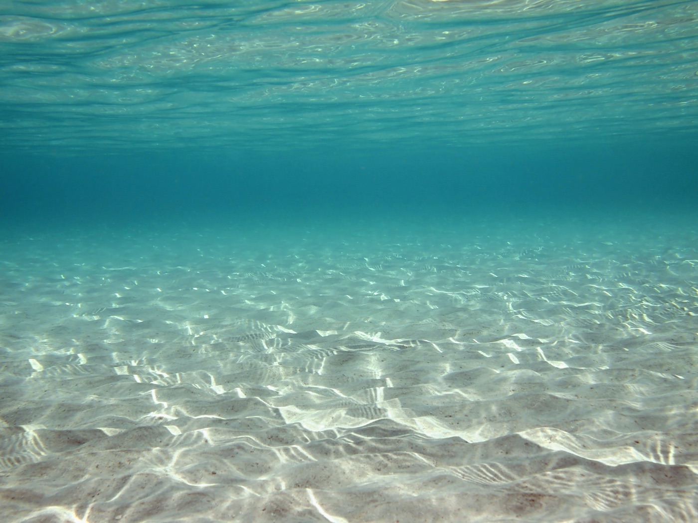 Ocean Floor — white Kindle skin