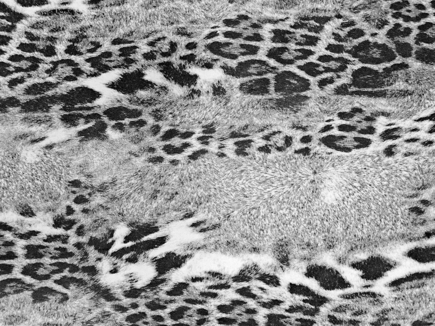 Monochrome Leopard Print — animal print iPad skin